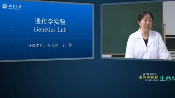 遗传学实验简介