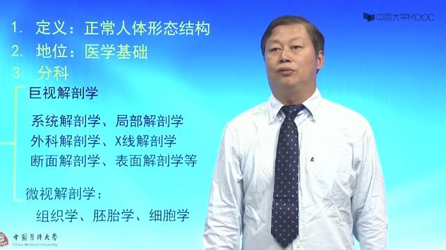 人体解剖学精品课程