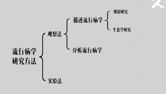 哈医大-肿瘤生物学教学视频