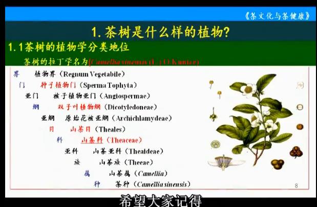 浙江大学-茶文化茶健康讲座