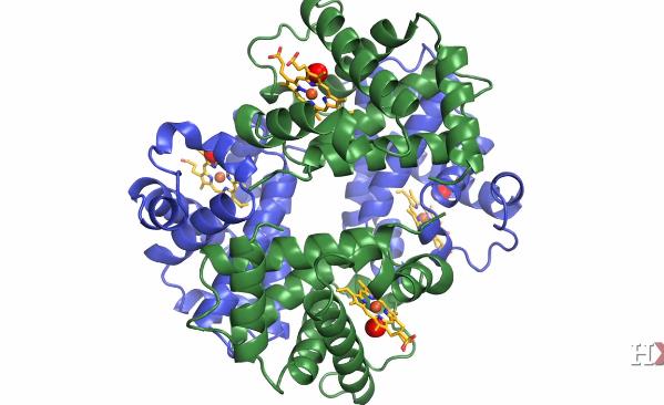 生物化学原理课程简介