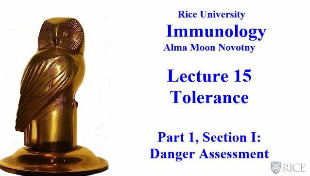 免疫学基础简介