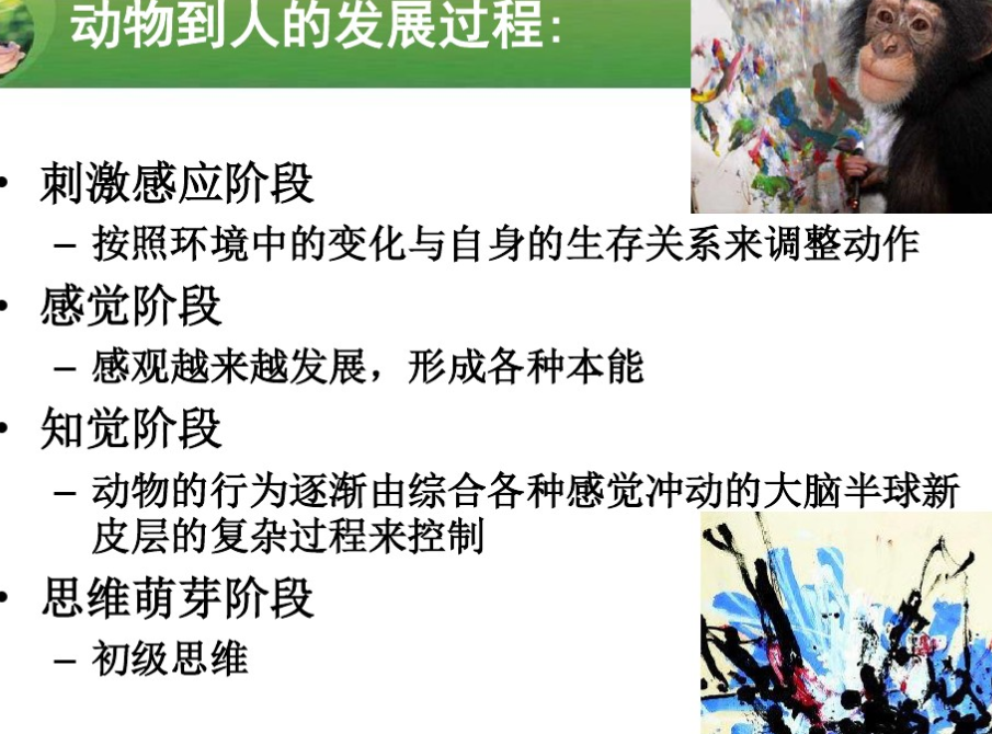 心理发展的内涵视频教学 image.png