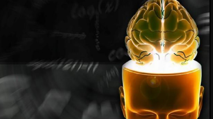 1558053853978714.png 中国政法大学:犯罪心理学课程视频