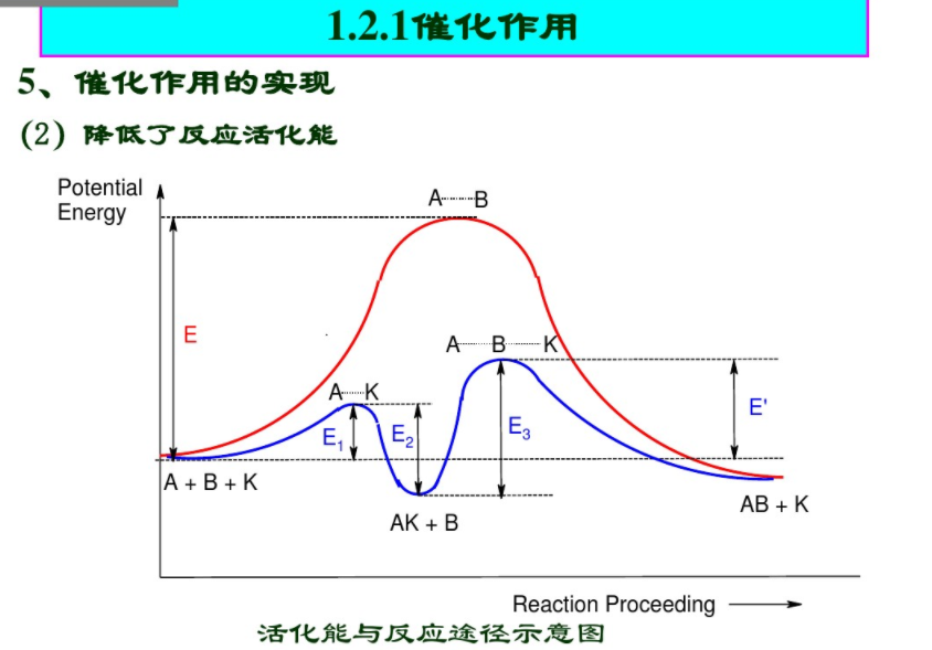 活化能与反应途径示意图