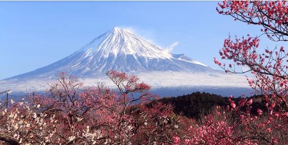 日语零基础至高级(0-N1)课程 日语零基础至高级(0-N1)课程