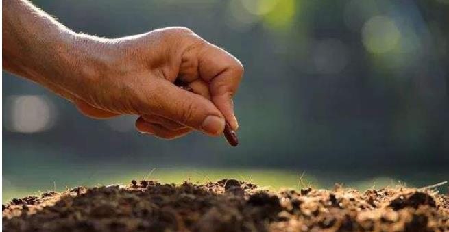 华中农业大学：土壤学课程