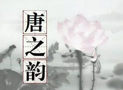 《唐之韵》全集MP3 《唐之韵》全集MP3