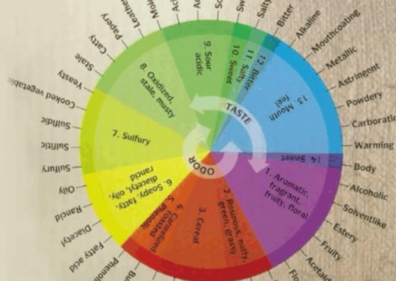 南京大学-心理学与生活精品课 南京大学-心理学与生活精品课