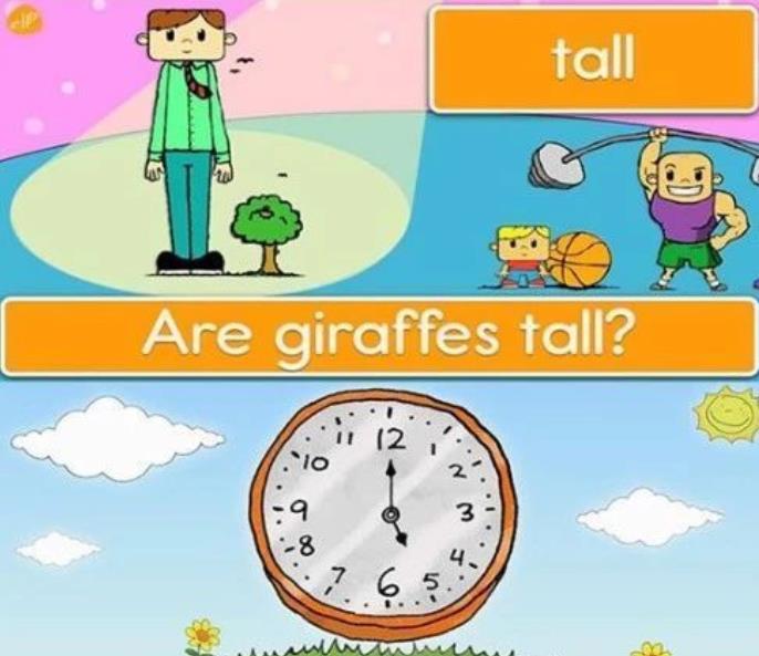 SOLO【1-6岁】美国原版幼儿园启蒙英语