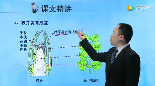 苏教版初中生物七年级上册课程视频