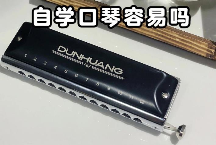 从零开始学口琴教学课程