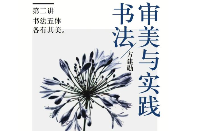 书法审美与实践