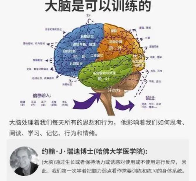 《记忆开发课程》
