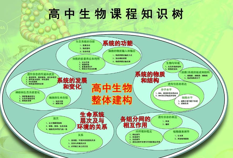 1717854606487980.jpg 高中生物课堂截图