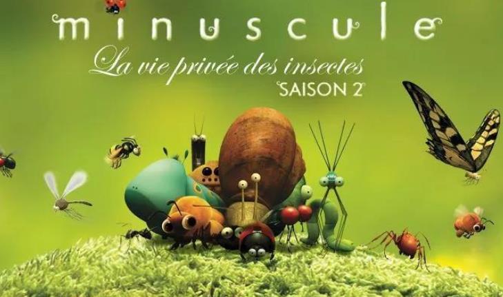 《微观小世界V：昆虫总动员》117集全简介