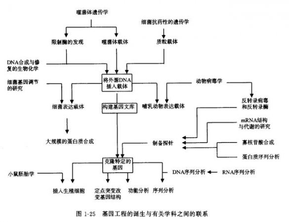 基因工程技术图示