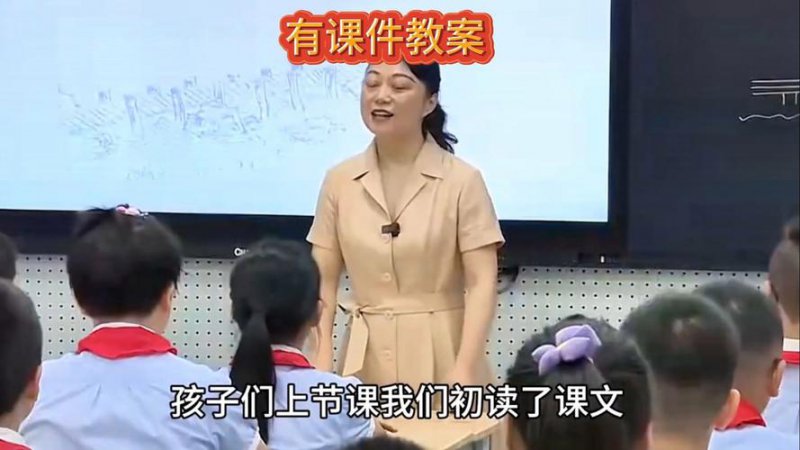 语文教学视频