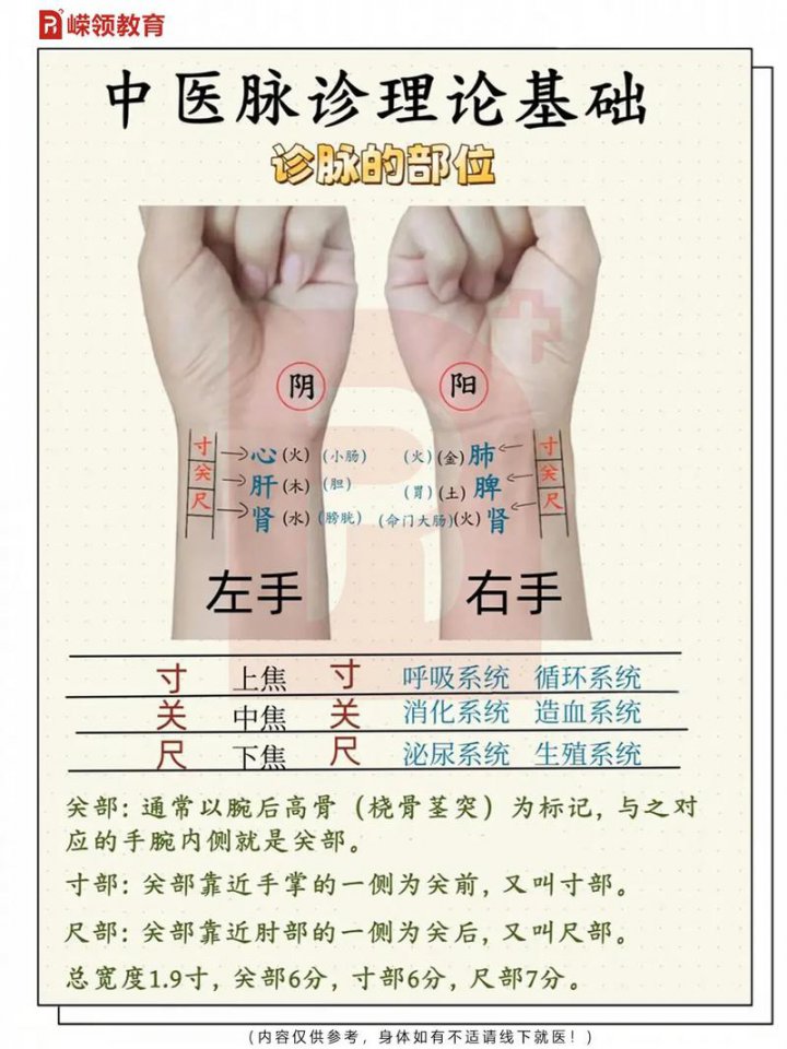 中医脉诊