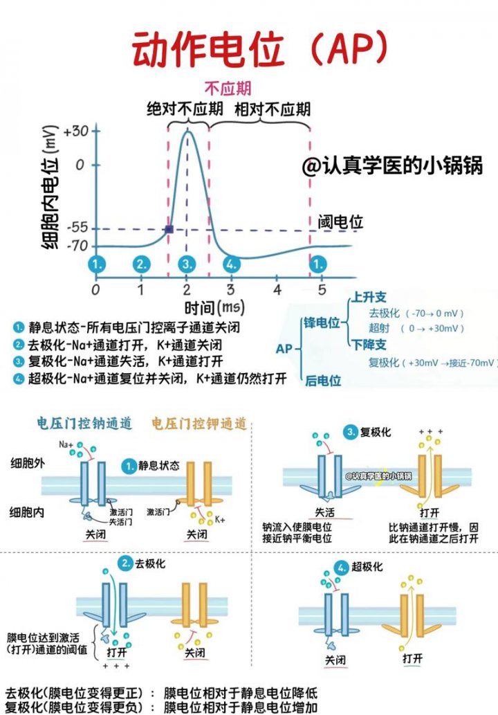 5h速通大学分析化学 - 相关描述