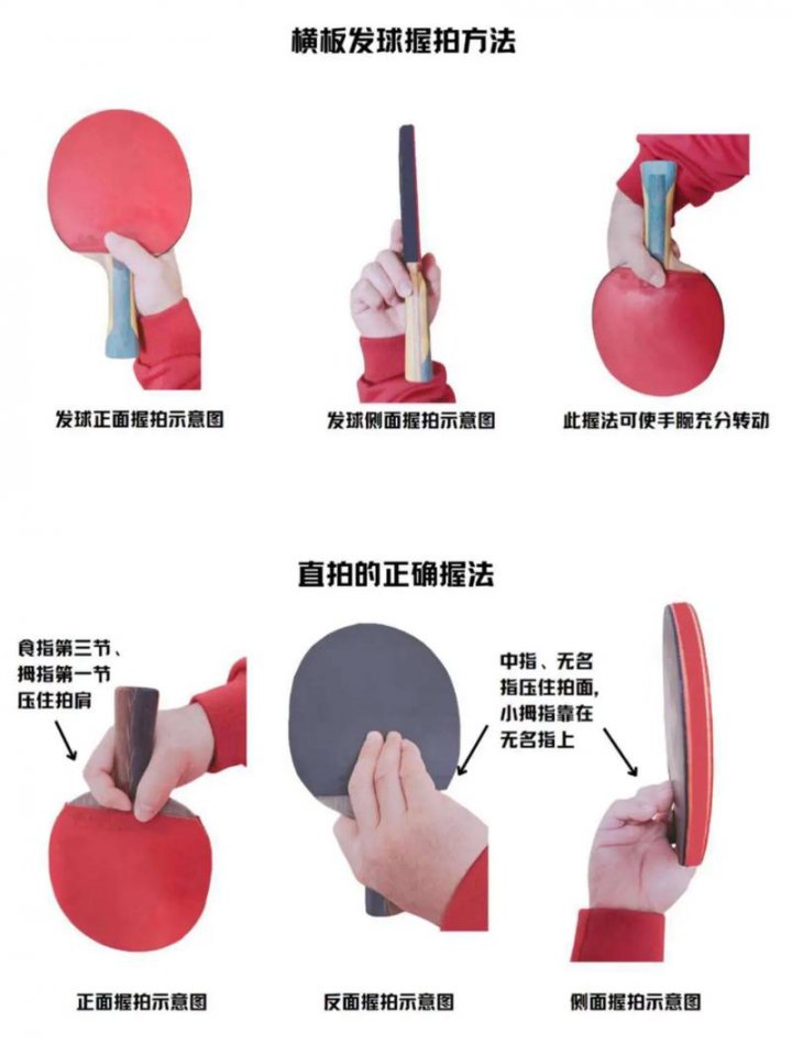 乒乓球大师：破局乒乓球 - 相关描述