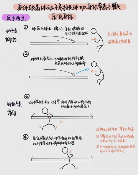 乒乓球大师：破局乒乓球 - 相关描述