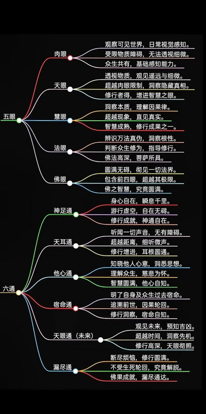净空法师-无量寿经600讲 - 相关描述