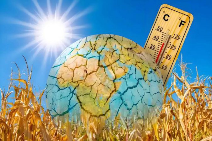 森林生态学精品课_西北农林科技大学_主讲-张硕新 30讲 - 气候变化影响