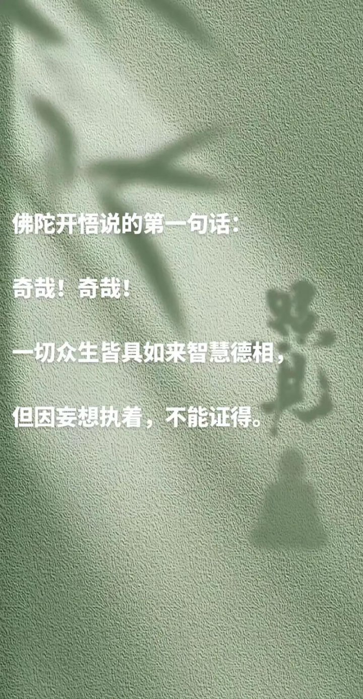 佛学智慧