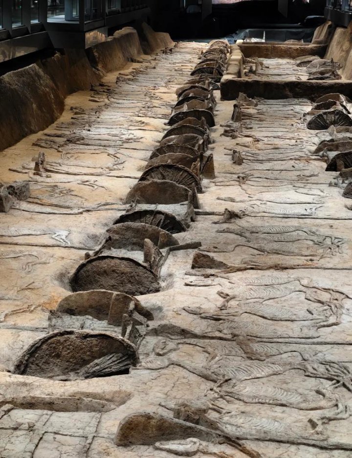 《楚国800年》纪录片 - 楚国遗迹