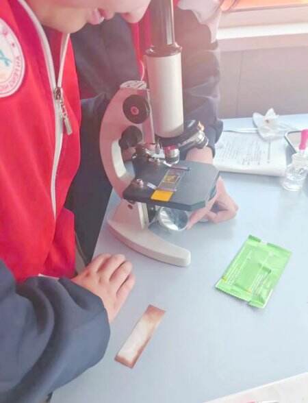 初中生物实验