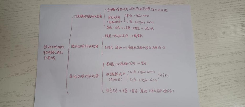 思维导图梳理民法逻辑