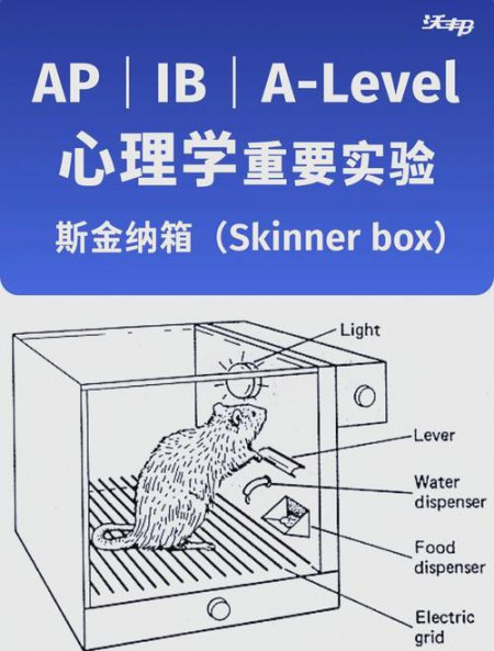 心理实验