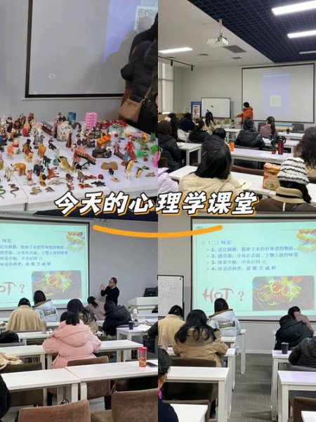 心理辅导课程