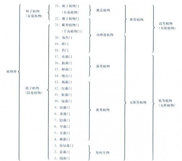 【观赏植物分类学】西南大学(转载) - 植物分类