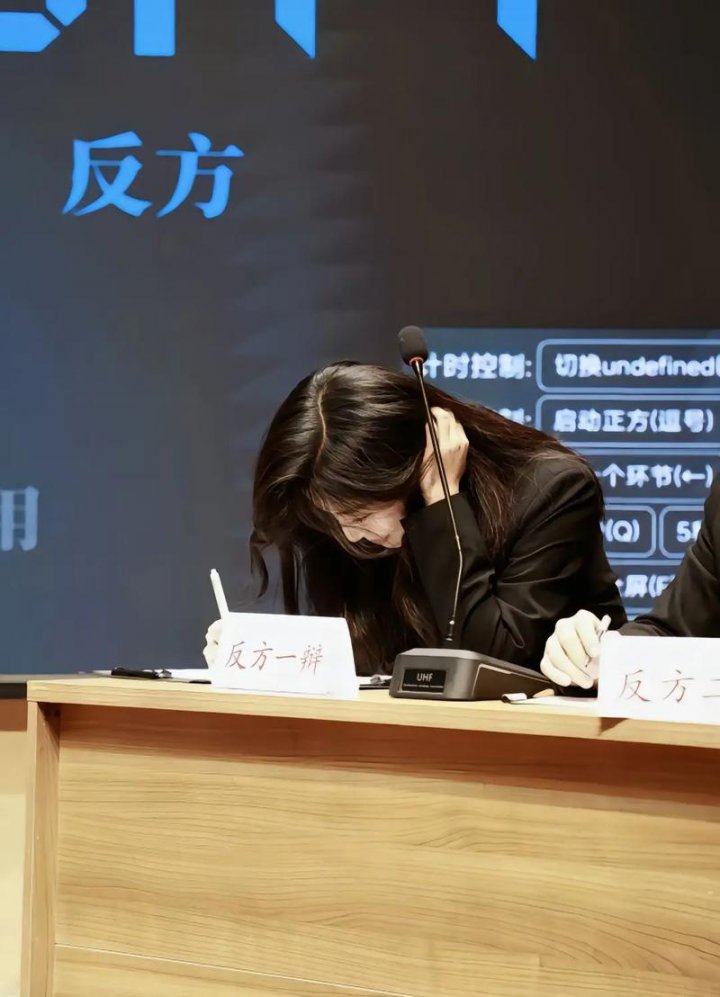 华语辩论邀请赛合集 - 相关描述