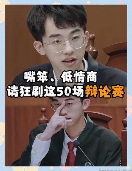 华语辩论邀请赛合集 - 相关描述