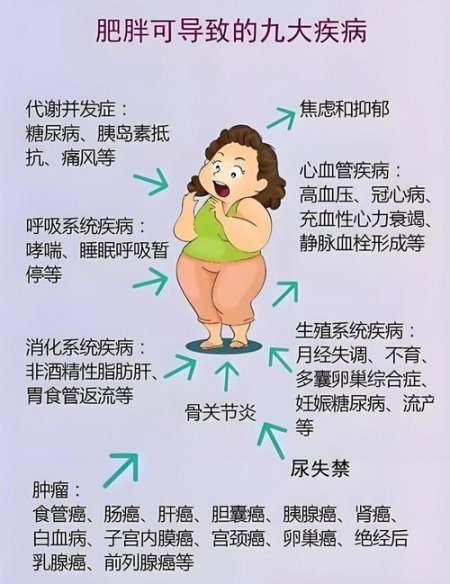 肥胖研究