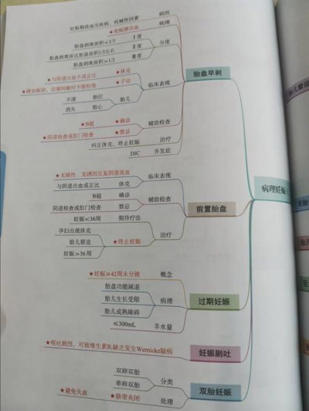 妇产科知识体系