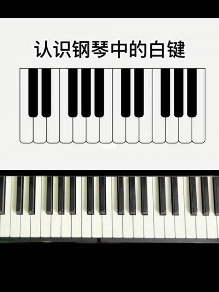 钢琴键盘基础认知
