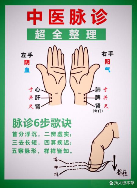 中医脉诊