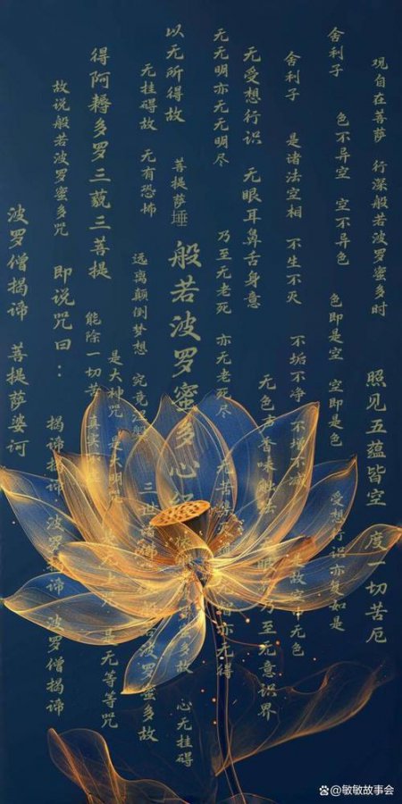 净空法师-无量寿经600讲 - 相关描述
