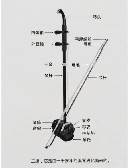 二胡构造图