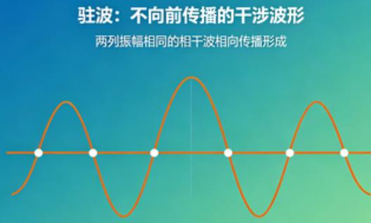 波的传播与叠加｜知识点动画
