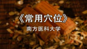 《常用穴位》南方医科大学（全）