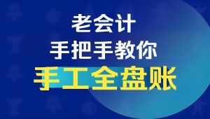 会计实务手工做帐视频教程