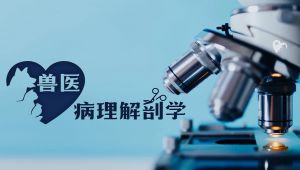 【中国农业大学】兽医病理解剖学 周向梅 杨利峰 胡艳欣