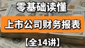 零基础读懂上市公司财务报表 教程视频