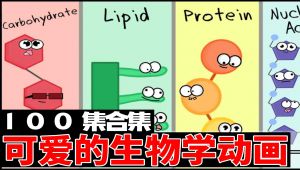 一听就懂的生物学动画-中英字幕