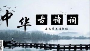 【古诗词品鉴200篇】 教程视频